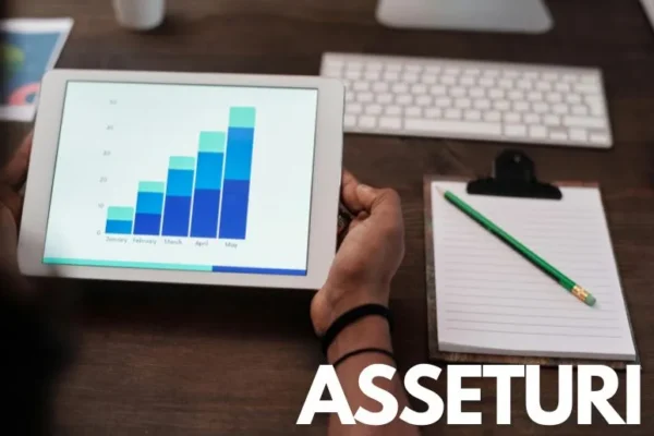 Asseturi: Transforming Asset Management