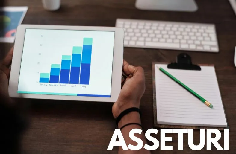 Asseturi: Transforming Asset Management