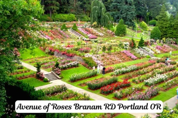 Avenue of Roses Branam Rd Portland OR: Explore Nature's Beauty